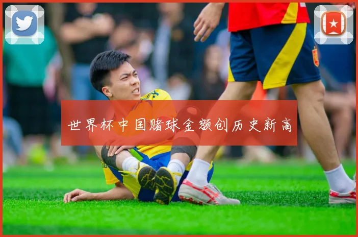 世界杯中国赌球金额创历史新高