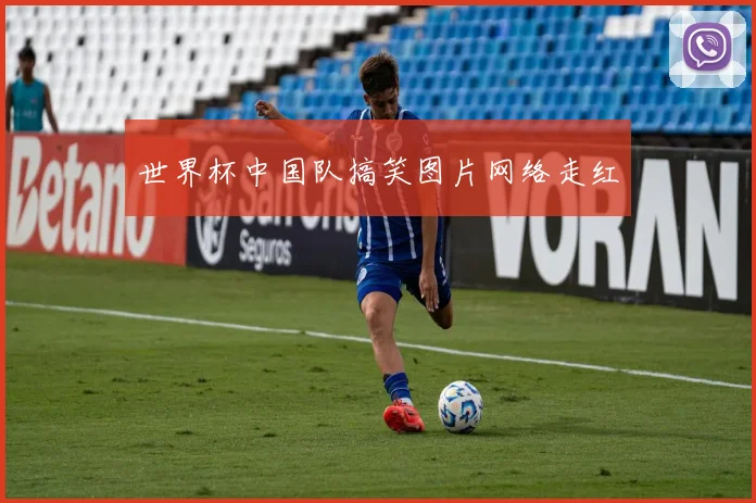 世界杯中国队搞笑图片网络走红