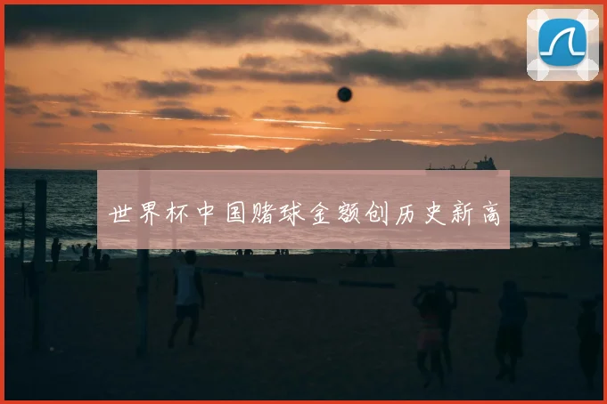 世界杯中国赌球金额创历史新高